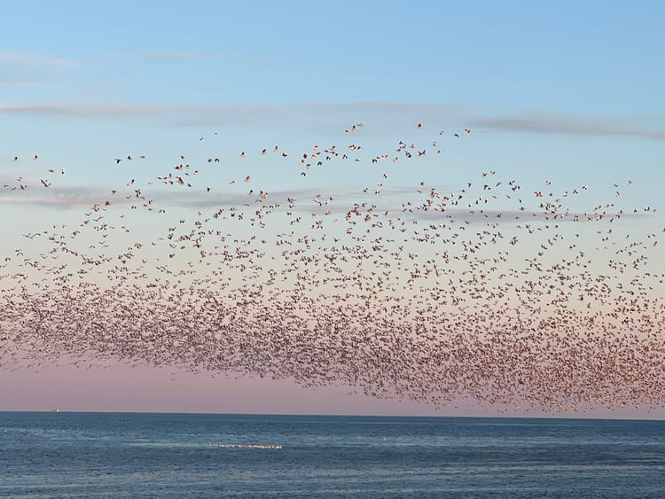 Building a Cooperative Online Community