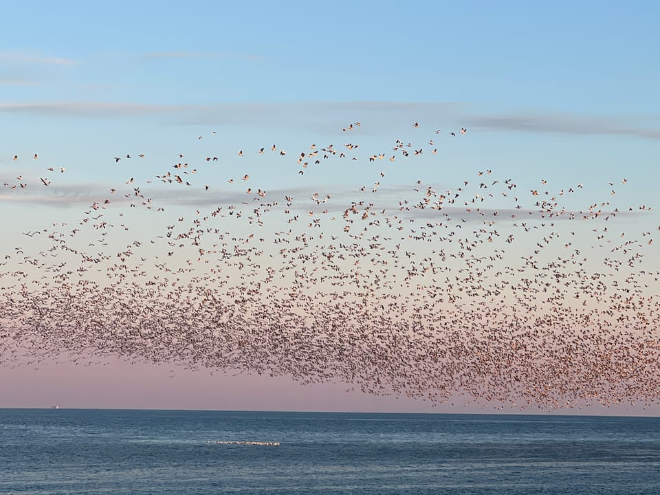 Building a Cooperative Online Community